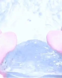 레잉이의