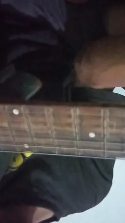 prank gitar