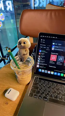 Cute Bear