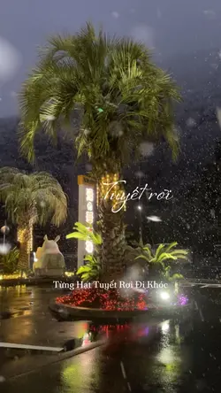 Từng hạt tuyết rơi