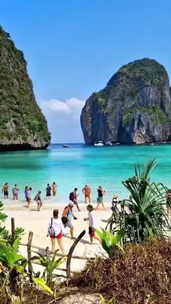 Sea vibes 
