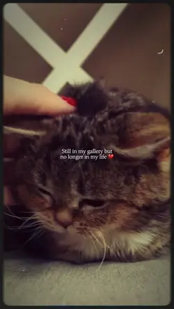 I miss my pet