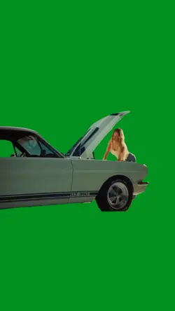 sydney mustang 