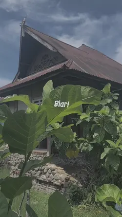 Anak layangan 