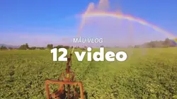 Mẫu VLOG 12 video