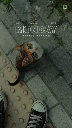 Monday Morning 