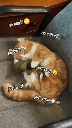 no work, no school