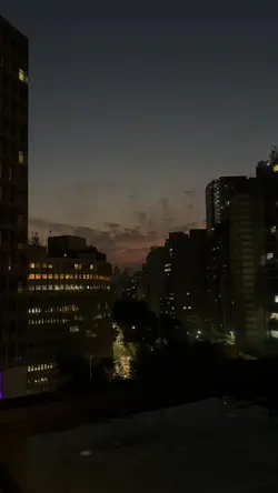 Daylight - Taylor