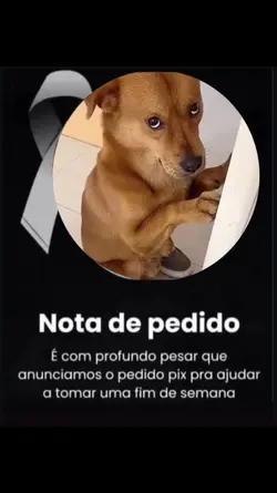 tomar uma 