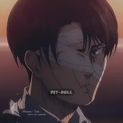 LEVIHAN 🗣️🔛🔝
