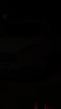 tilki
