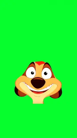 stunned timon funny