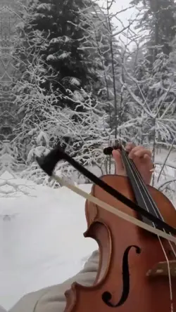 EDIT trend violon