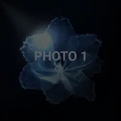 1:1