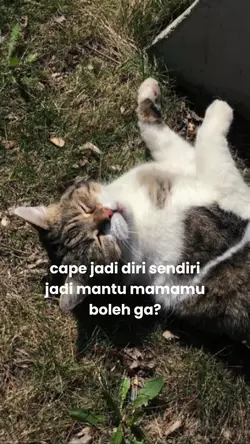 calon mantu 