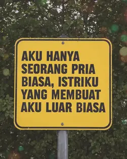 bukan cinta biasa