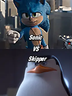 Sonic vs Skipper 