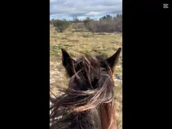 Enjoy every ride