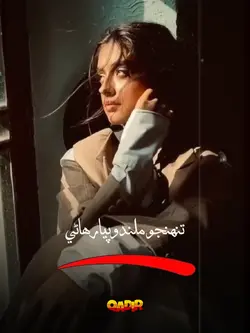 sindhi template 