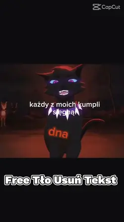 Free Tło