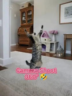 Camera Shoot 360°