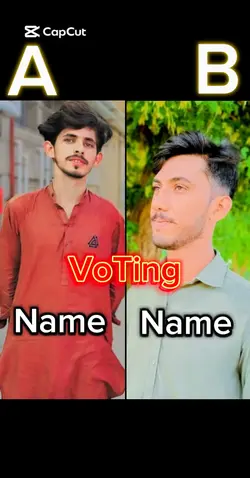 Voting 