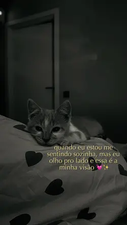 meu gatinho 