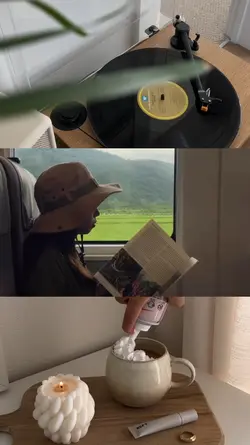 3 grid videos