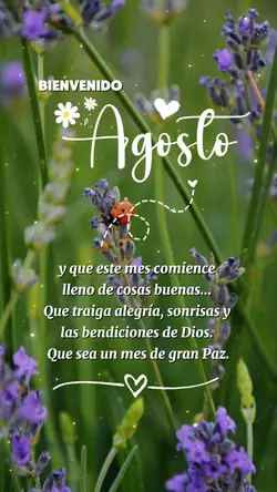 bienvenido Agosto 