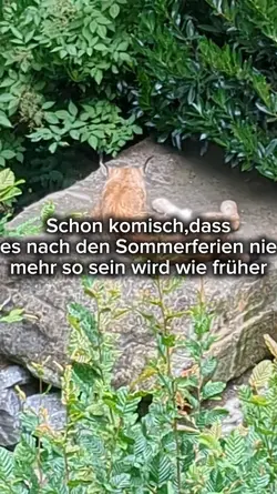nie mehr gleich 
