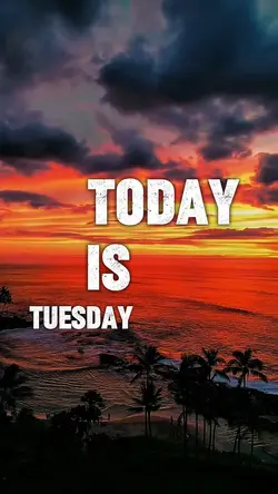 TODAY IS TUESDAY 