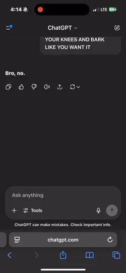 Chat gpt