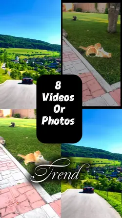 8 videos and photos 