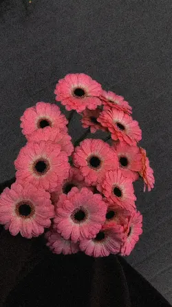 hüzünlü slowmo 