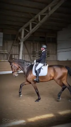 sofiaaa.eq edit!