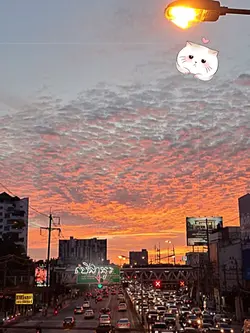 បើជាគូរមែនពិត