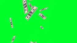 Money fyp