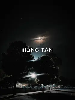 Mẫu 1 Ảnh + Lyric