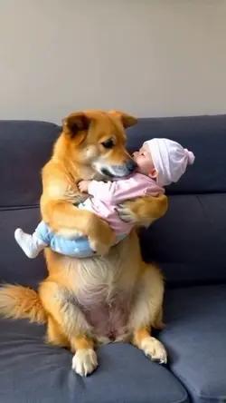 Ai dog holding baby
