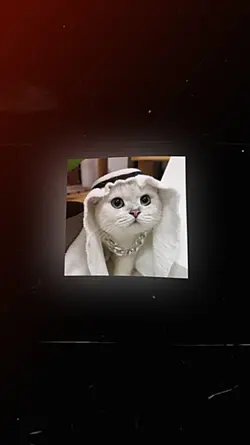 Habibi