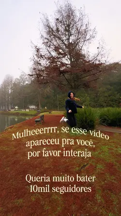 Reels teste