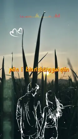 péi nǐ kàn rì shēng 