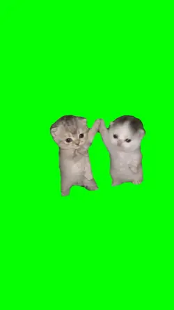 Gatitos cute