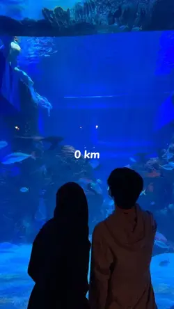 0 km / .. km