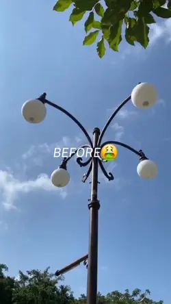 before x after