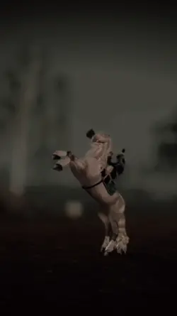 star stable 