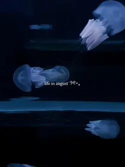 life in august