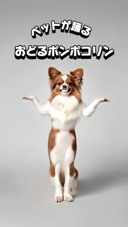 おどるポンポコリン
