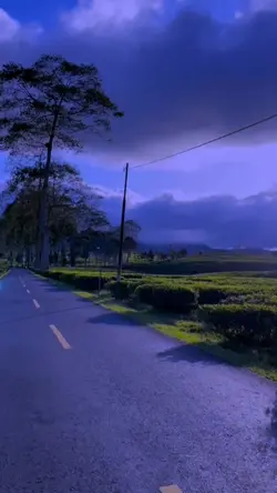 vlog jalan-jalan 