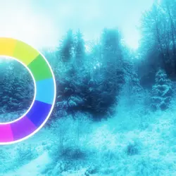 color trend
